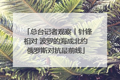 总台记者观察丨针锋相对 波罗的海成北约俄罗斯对抗最前线