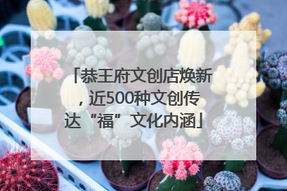 恭王府文创店焕新，近500种文创传达“福”文化内涵