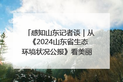 感知山东记者谈｜从《2024山东省生态环境状况公报》看美丽山东建设的“成绩单”与“任务书”