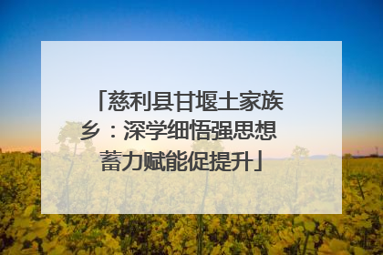 慈利县甘堰土家族乡：深学细悟强思想 蓄力赋能促提升