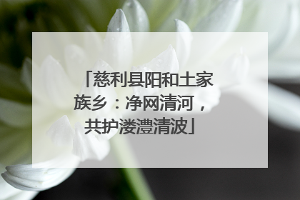 慈利县阳和土家族乡：净网清河，共护溇澧清波