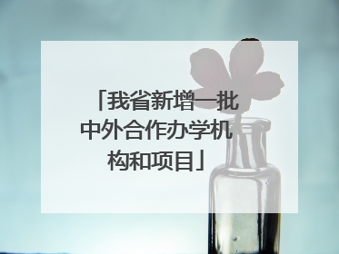 我省新增一批中外合作办学机构和项目