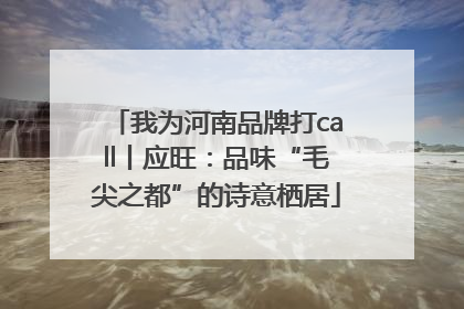 我为河南品牌打call丨应旺：品味“毛尖之都”的诗意栖居