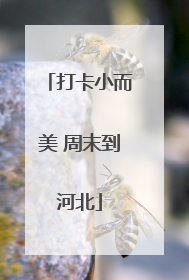 打卡小而美 周末到河北