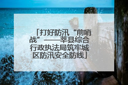 打好防汛“前哨战”——莘县综合行政执法局筑牢城区防汛安全防线
