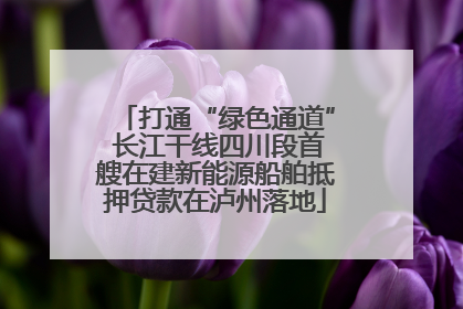 打通“绿色通道” 长江干线四川段首艘在建新能源船舶抵押贷款在泸州落地
