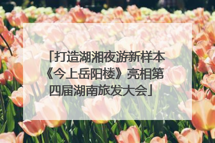 打造湖湘夜游新样本《今上岳阳楼》亮相第四届湖南旅发大会