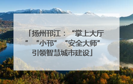 扬州邗江：“掌上大厅”“小邗”“安全大师”引领智慧城市建设