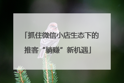 抓住微信小店生态下的推客“躺赚”新机遇