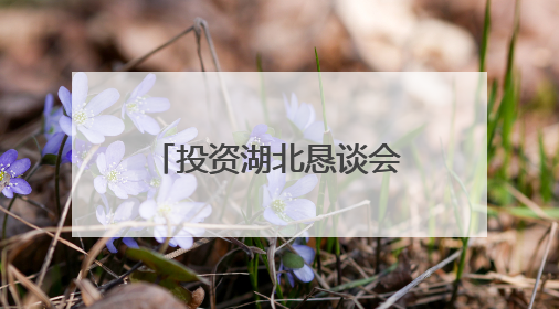 投资湖北恳谈会在大阪举办，携手深化鄂日合作