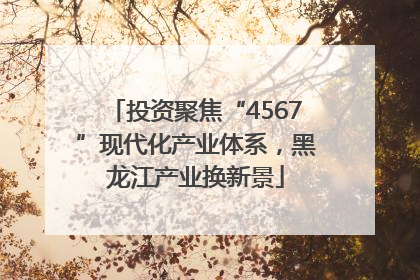 投资聚焦“4567”现代化产业体系，黑龙江产业换新景