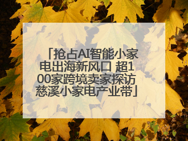 抢占AI智能小家电出海新风口 超100家跨境卖家探访慈溪小家电产业带