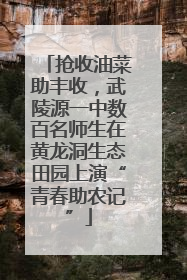 抢收油菜助丰收，武陵源一中数百名师生在黄龙洞生态田园上演“青春助农记”