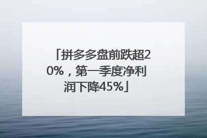 拼多多盘前跌超20%，第一季度净利润下降45%
