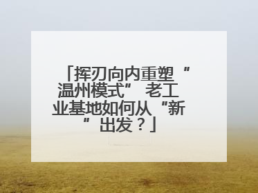 挥刃向内重塑“温州模式” 老工业基地如何从“新”出发？