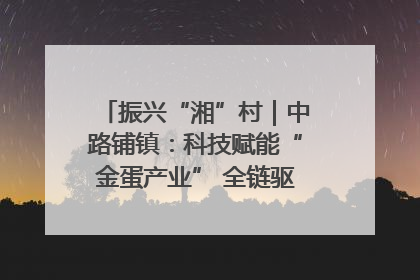 振兴“湘”村｜中路铺镇：科技赋能“金蛋产业” 全链驱动乡村振兴