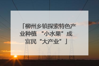 柳州乡镇探索特色产业种植 “小水果”成富民“大产业”