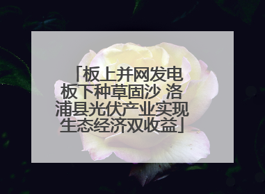板上并网发电 板下种草固沙 洛浦县光伏产业实现生态经济双收益