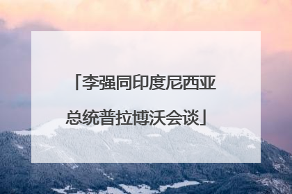 李强同印度尼西亚总统普拉博沃会谈