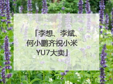 李想、李斌、何小鹏齐祝小米YU7大卖
