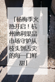杨梅季火热开启！杭州地利果品市场守护从枝头到舌尖的每一口鲜甜