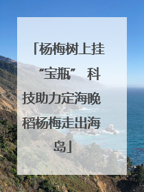 杨梅树上挂“宝瓶” 科技助力定海晚稻杨梅走出海岛