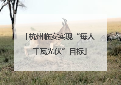 杭州临安实现“每人一千瓦光伏”目标