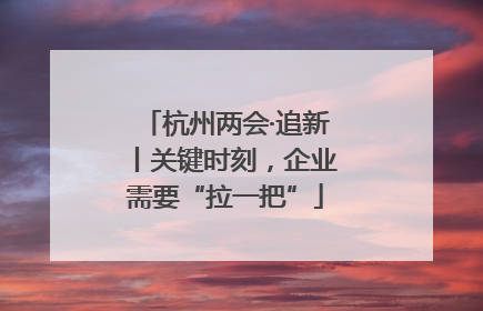 杭州两会·追新丨关键时刻，企业需要“拉一把”