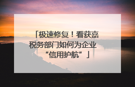 极速修复！看获嘉税务部门如何为企业“信用护航”