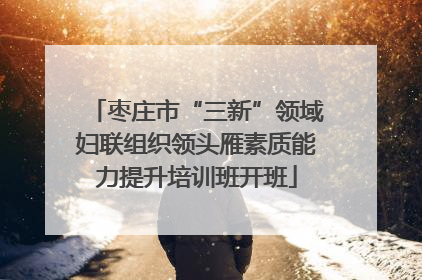 枣庄市“三新”领域妇联组织领头雁素质能力提升培训班开班