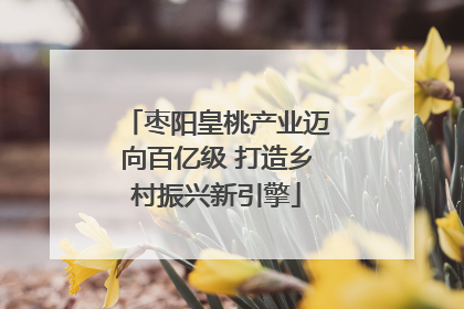 枣阳皇桃产业迈向百亿级 打造乡村振兴新引擎