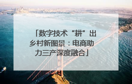数字技术“耕”出乡村新图景：电商助力三产深度融合
