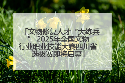 文物修复人才“大练兵” 2025年全国文物行业职业技能大赛四川省选拔赛即将启幕