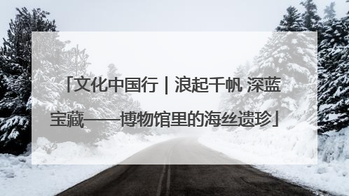 文化中国行｜浪起千帆 深蓝宝藏——博物馆里的海丝遗珍