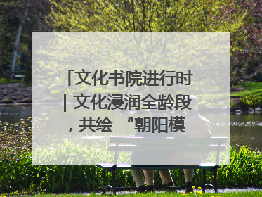 文化书院进行时｜文化浸润全龄段，共绘 “朝阳模式” 新图景！