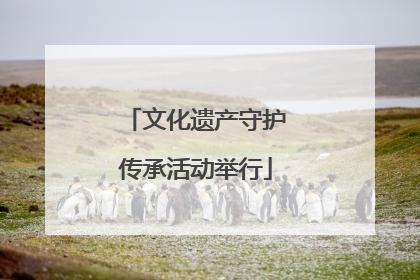 文化遗产守护传承活动举行