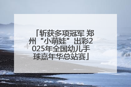 斩获多项冠军 郑州“小萌娃”出彩2025年全国幼儿手球嘉年华总站赛