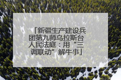 新疆生产建设兵团第九师乌拉斯台人民法庭：用“三调联动”解牛事