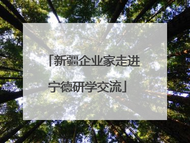 新疆企业家走进宁德研学交流