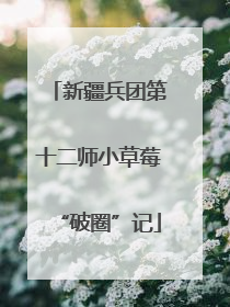 新疆兵团第十二师小草莓“破圈”记