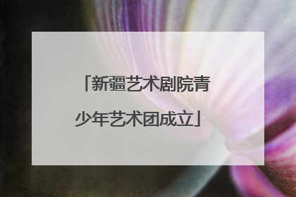 新疆艺术剧院青少年艺术团成立