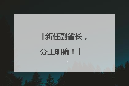 新任副省长，分工明确！