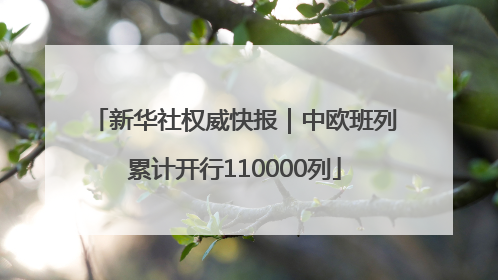 新华社权威快报｜中欧班列累计开行110000列