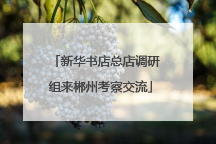 新华书店总店调研组来郴州考察交流