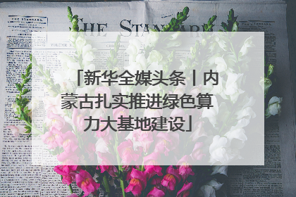 新华全媒头条丨内蒙古扎实推进绿色算力大基地建设