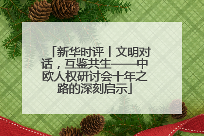 新华时评丨文明对话，互鉴共生——中欧人权研讨会十年之路的深刻启示