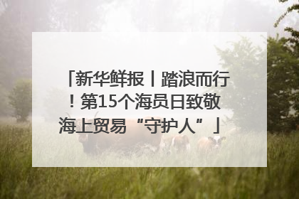 新华鲜报丨踏浪而行！第15个海员日致敬海上贸易“守护人”