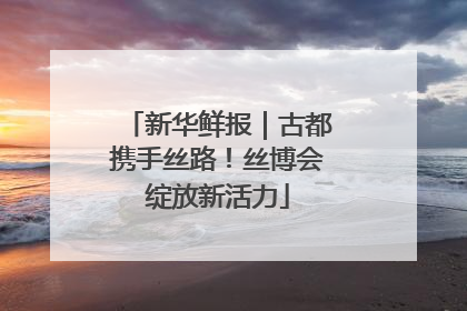 新华鲜报｜古都携手丝路！丝博会绽放新活力