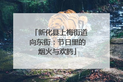 新化县上梅街道向东街：节日里的烟火与欢腾