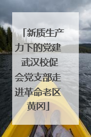 新质生产力下的党建 武汉校促会党支部走进革命老区黄冈